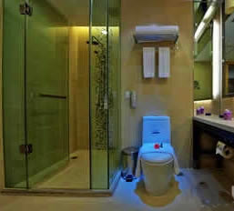 Shenzhen Bauhinia Hotel