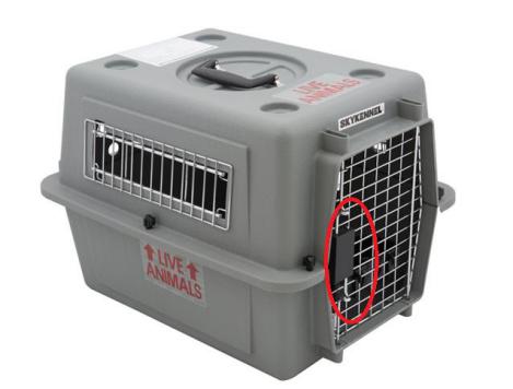 animal container, pet, on flight