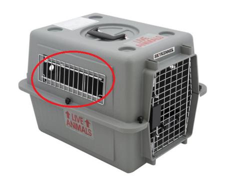 animal container, pet, on flight