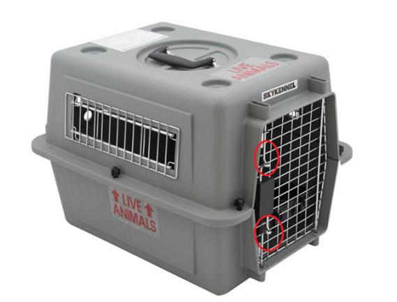 animal container, pet, on flight