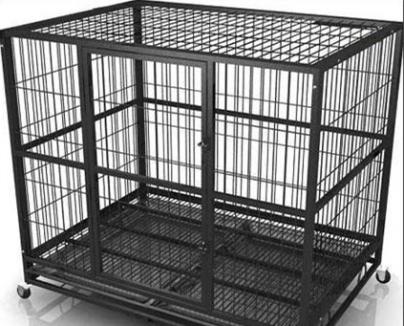 animal container, pet, on flight