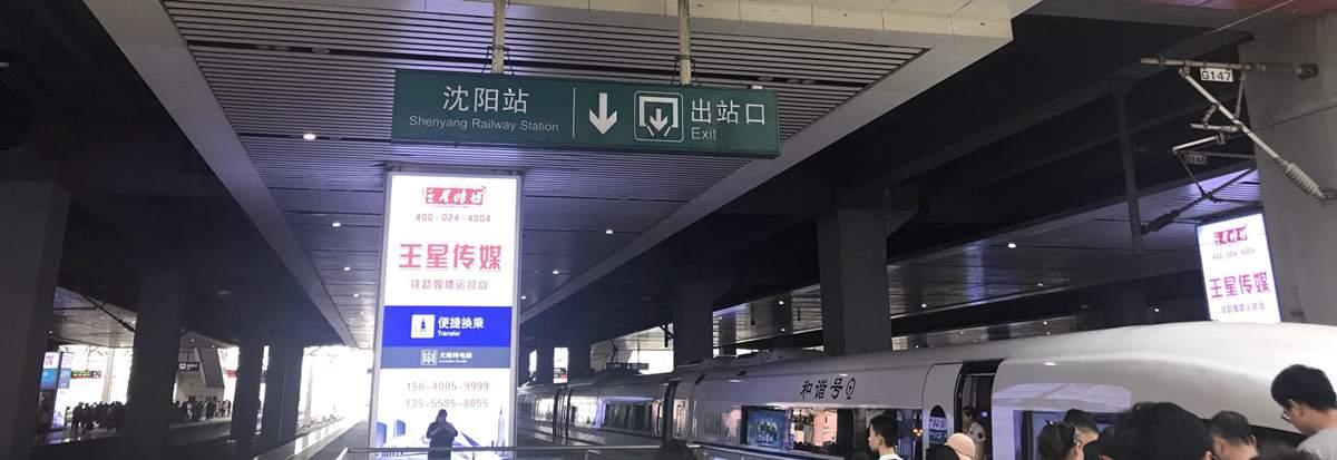 Arrivals at Shenyang Railway Station